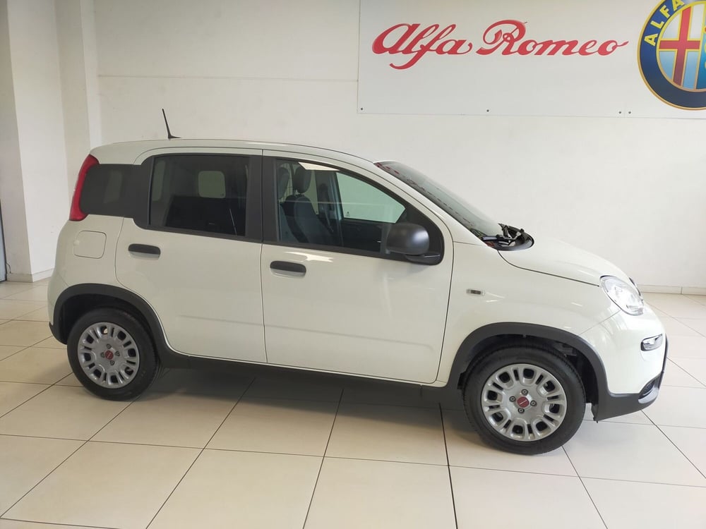 Fiat Panda nuova a Reggio Emilia (4)