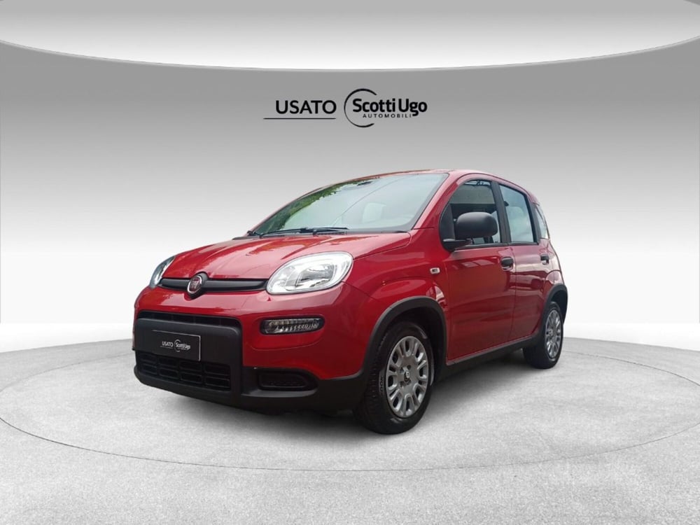 Fiat Panda nuova a Firenze