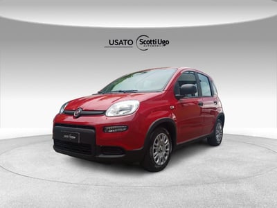 Fiat Panda 1.0 firefly hybrid s&amp;s 70cv nuova a Tavarnelle Val di Pesa