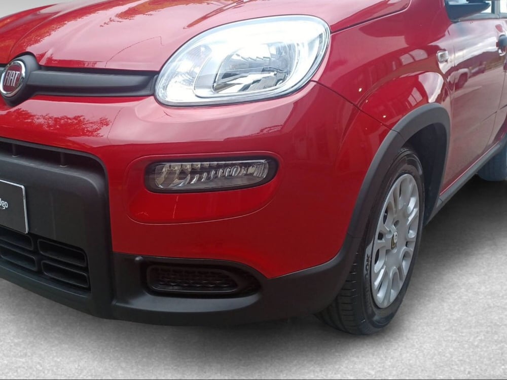 Fiat Panda nuova a Firenze (2)