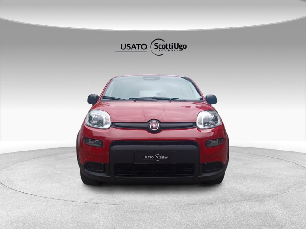 Fiat Panda nuova a Firenze (3)
