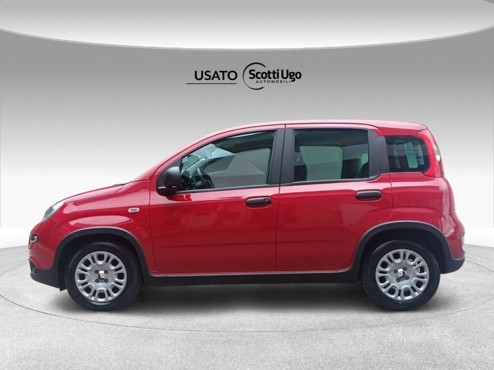 Fiat Panda nuova a Firenze (5)