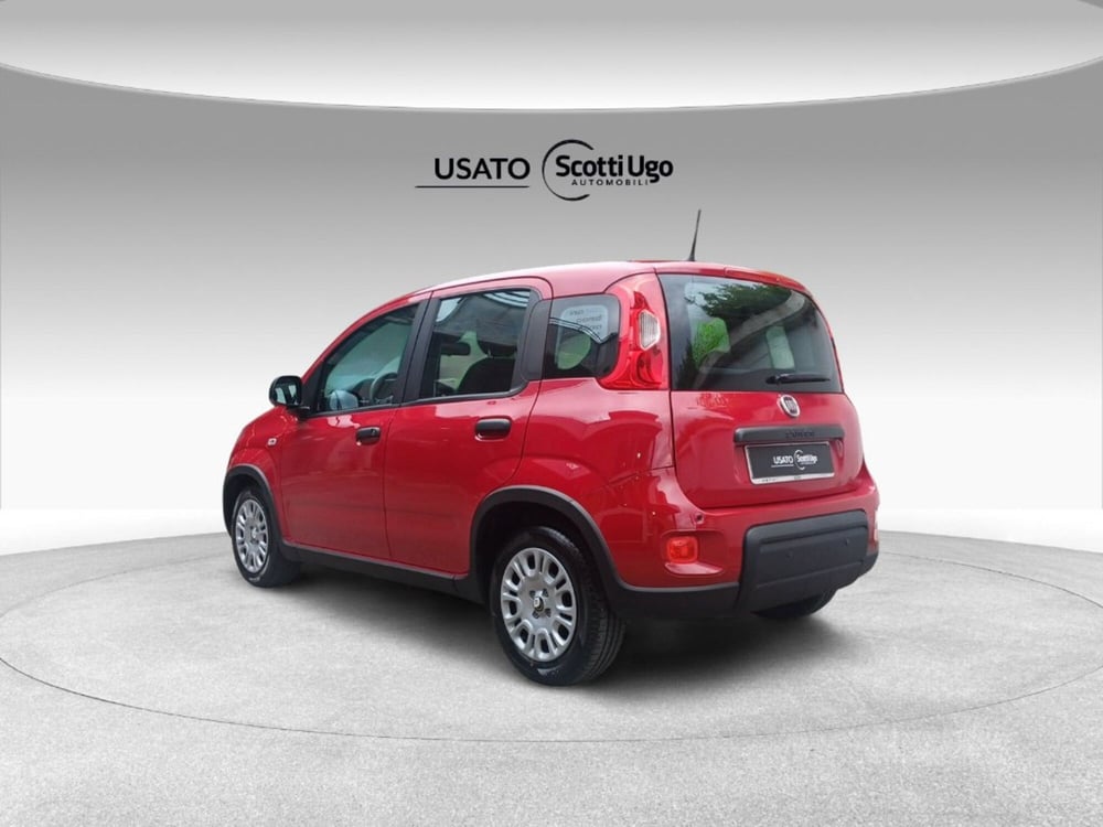 Fiat Panda nuova a Firenze (6)