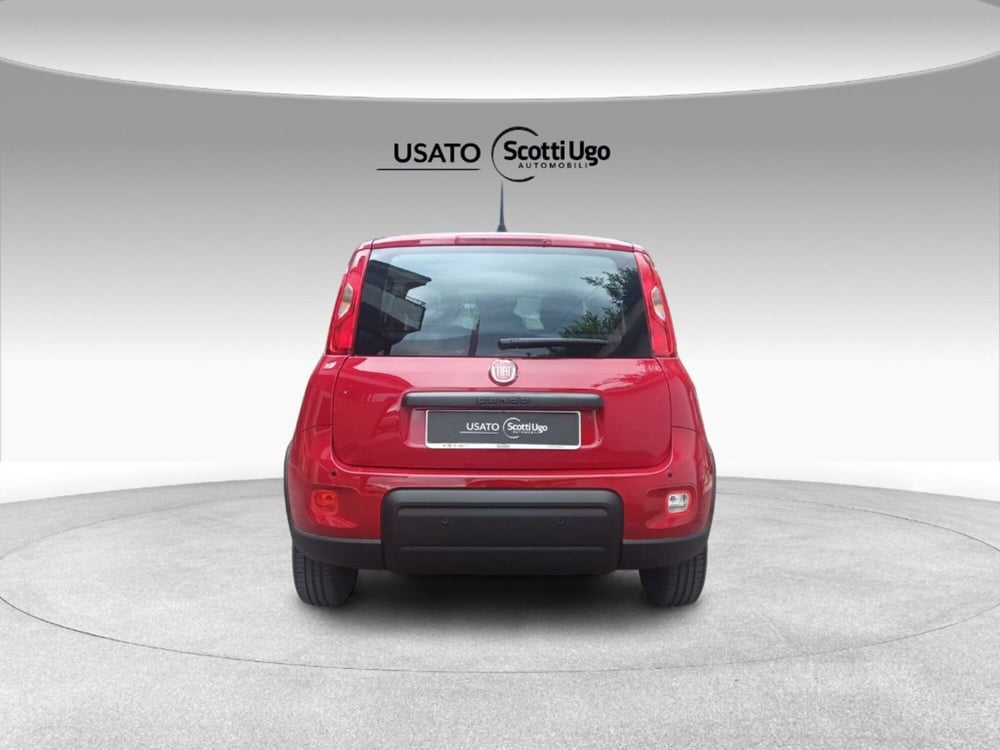 Fiat Panda nuova a Firenze (7)
