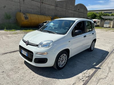 Fiat Panda 1.2 Pop del 2019 usata a Lissone