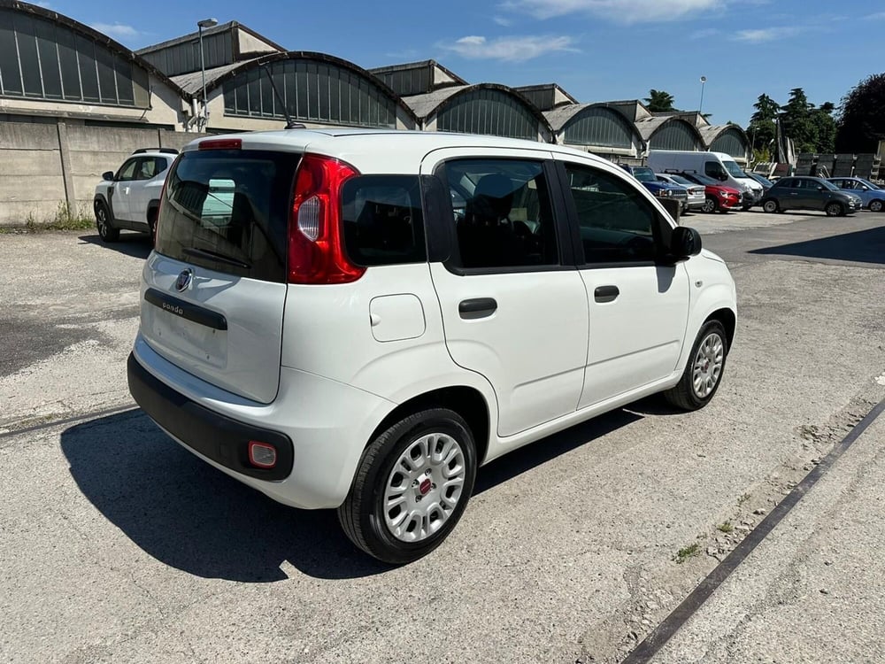 Fiat Panda usata a Monza e Brianza (4)