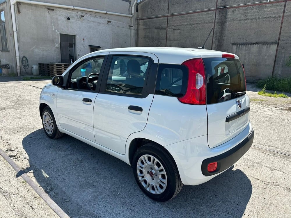 Fiat Panda usata a Monza e Brianza (6)