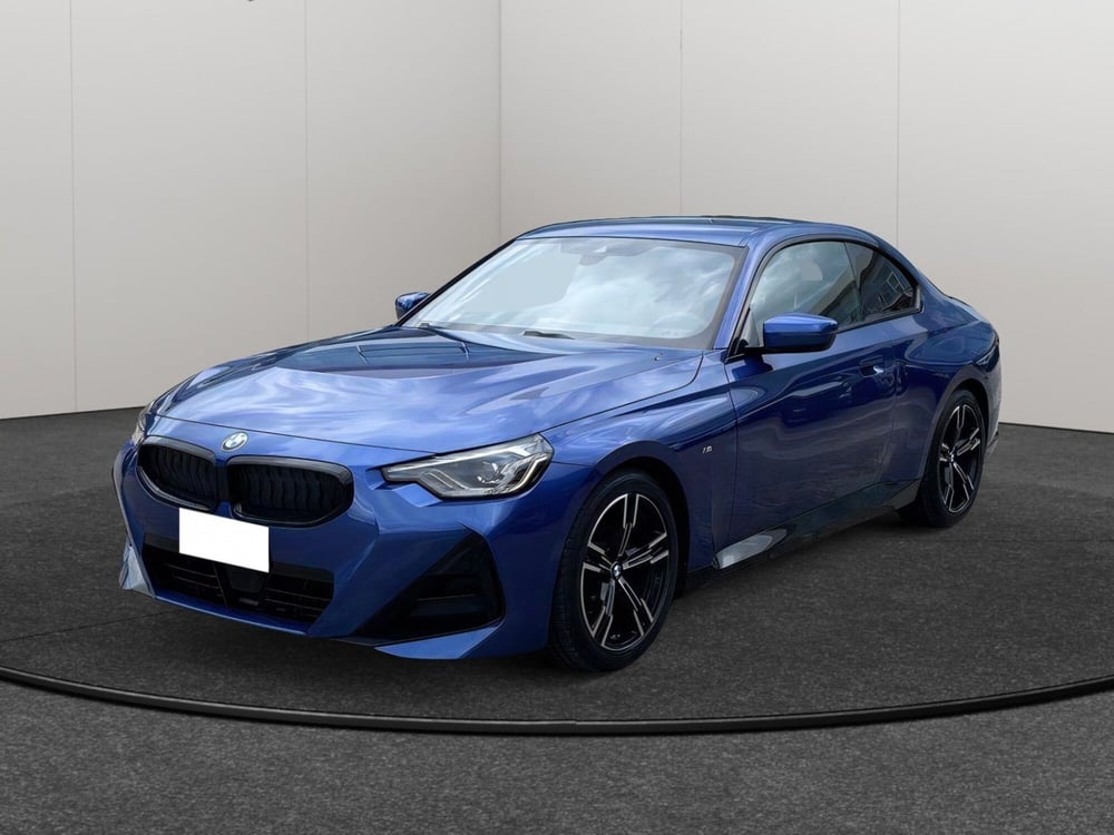 BMW Serie 2 Coupé usata a Pescara