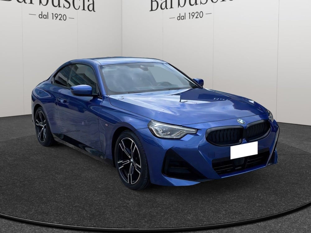 BMW Serie 2 Coupé usata a Pescara (2)