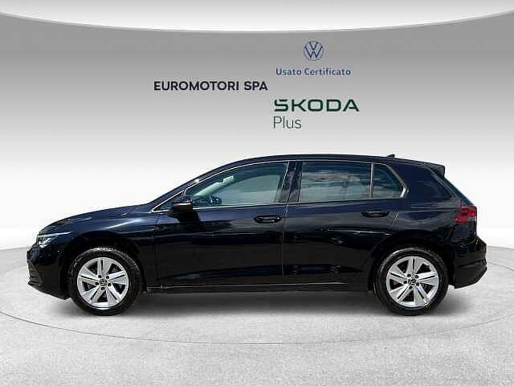 Volkswagen Golf usata a Grosseto (2)