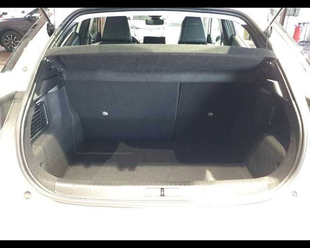 Ds DS 3 usata a Cuneo (7)