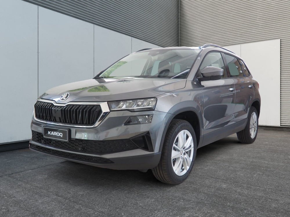 Skoda Karoq nuova a Torino (2)