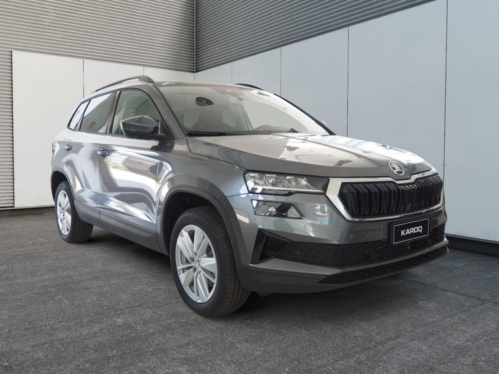 Skoda Karoq nuova a Torino (4)