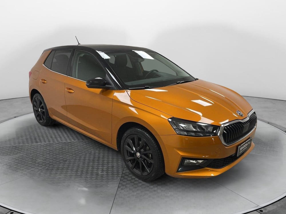 Skoda Fabia usata a Varese (3)