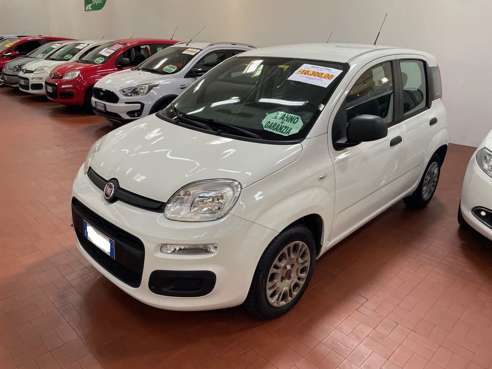 Fiat Panda usata a Lucca