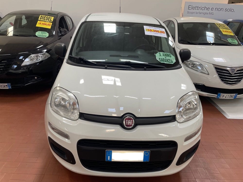 Fiat Panda usata a Lucca (2)