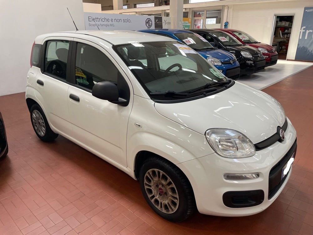 Fiat Panda usata a Lucca (3)