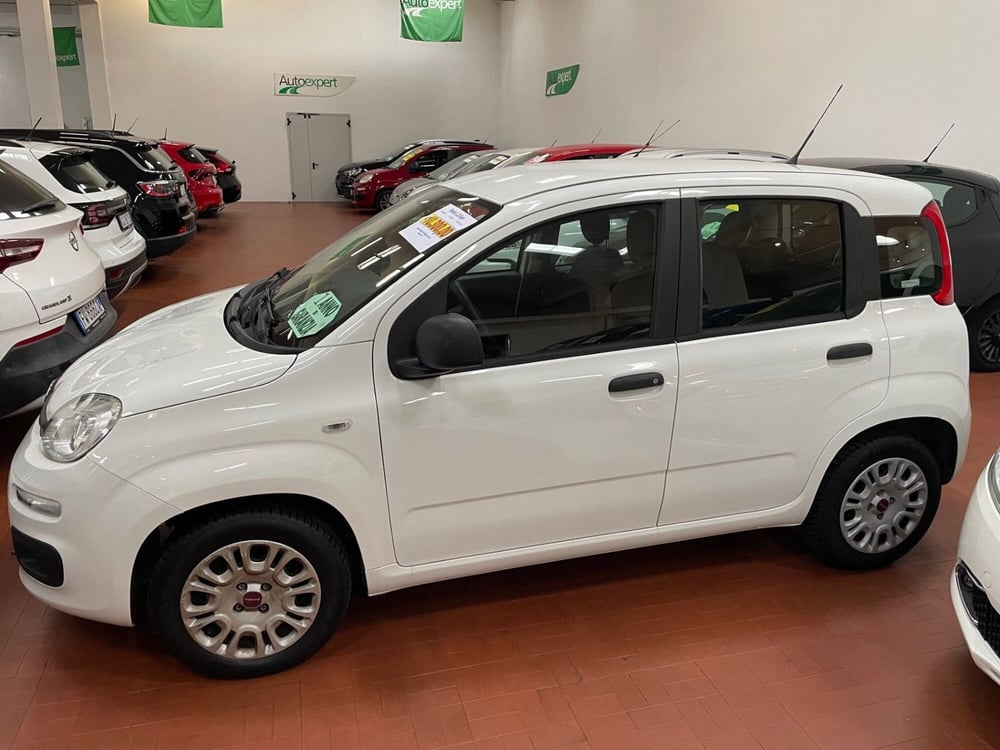 Fiat Panda usata a Lucca (4)
