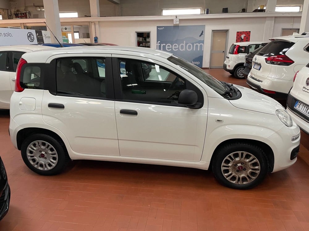 Fiat Panda usata a Lucca (7)