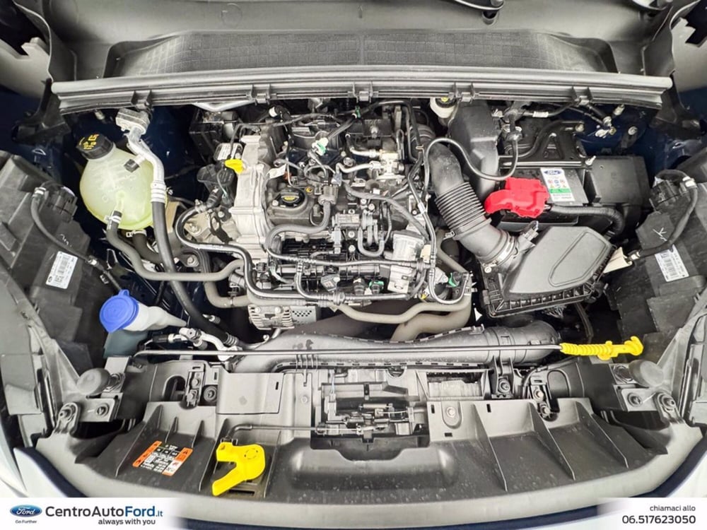 Ford Puma usata a Roma (12)
