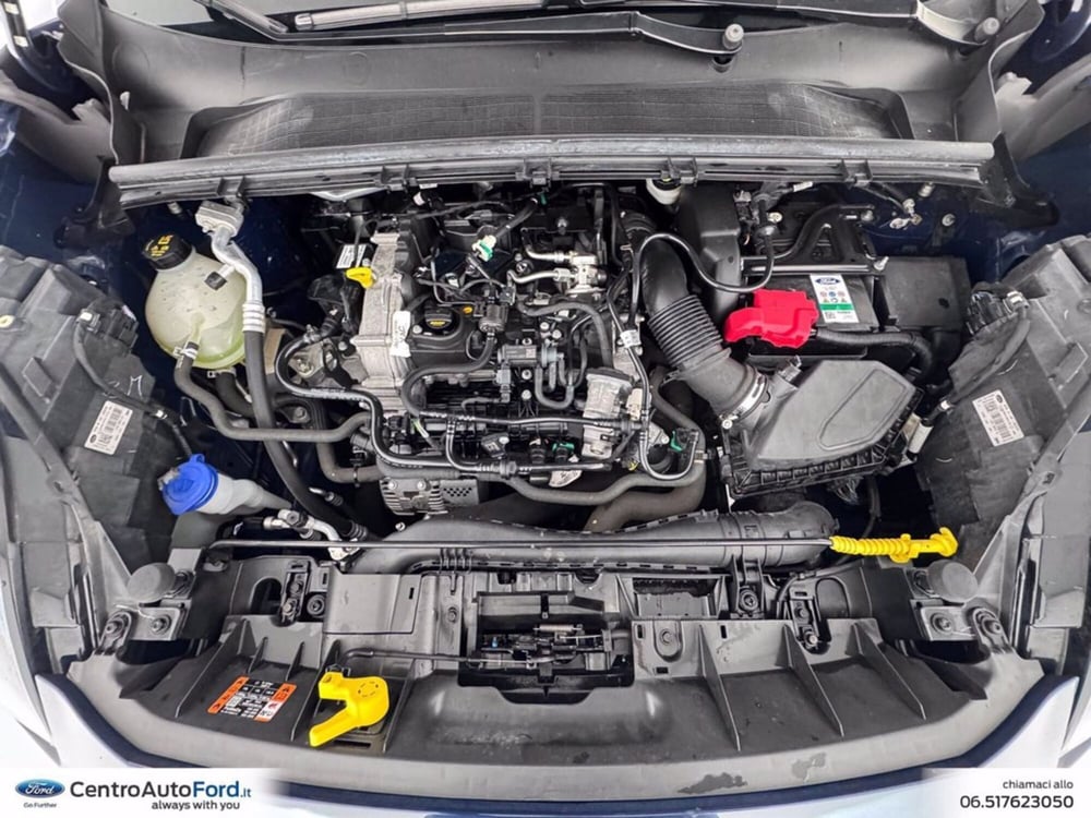 Ford Puma usata a Roma (12)