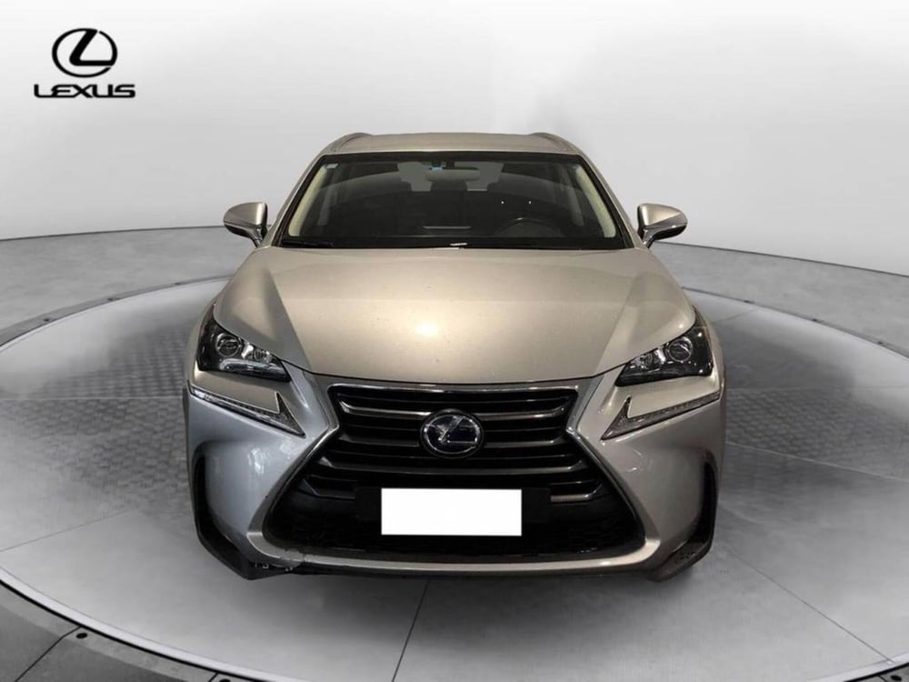 Lexus NX usata a Torino (2)