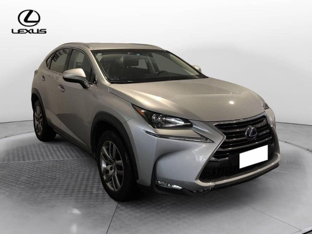 Lexus NX usata a Torino (3)