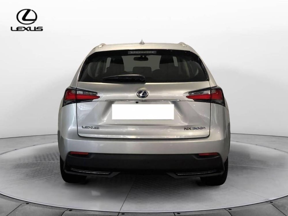 Lexus NX usata a Torino (5)