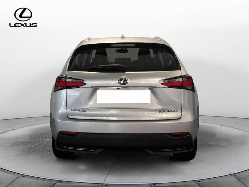 Lexus NX usata a Torino (5)