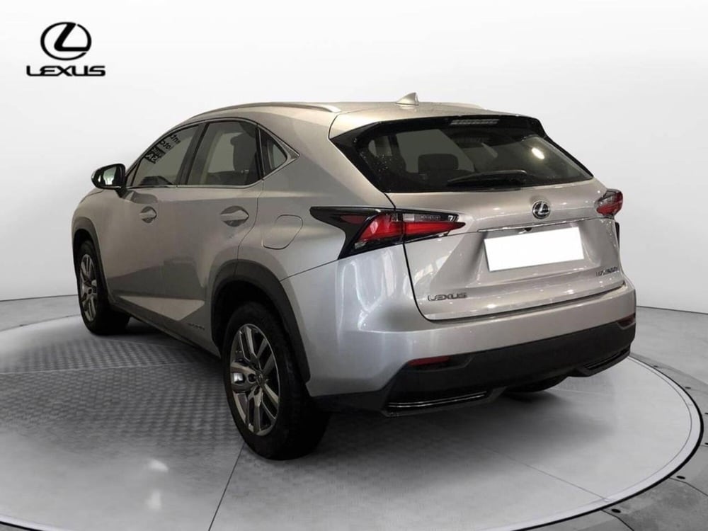 Lexus NX usata a Torino (6)