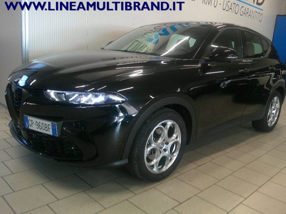 Alfa Romeo Tonale usata a Piacenza (19)