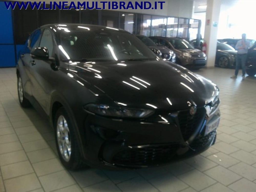 Alfa Romeo Tonale usata a Piacenza (4)