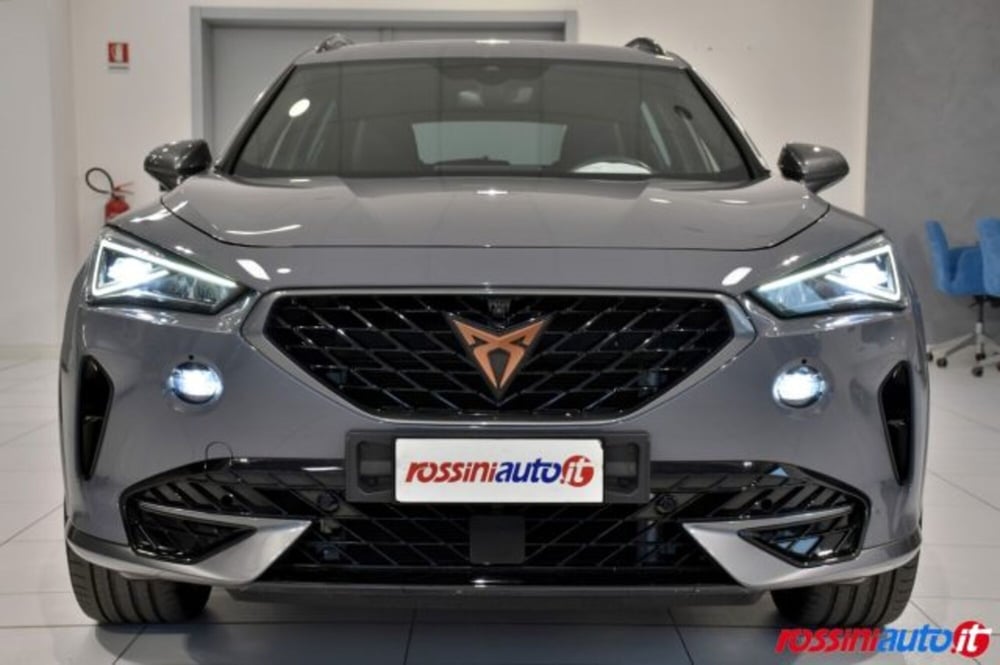 Cupra Formentor usata a Brescia (19)