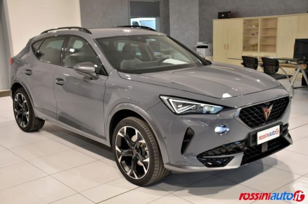Cupra Formentor usata a Brescia (7)