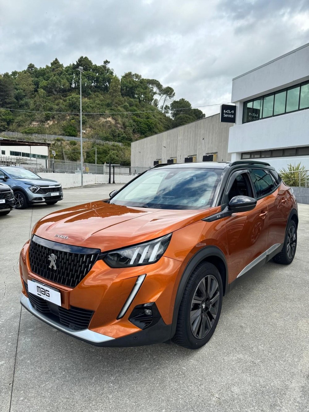 Peugeot 2008 usata a Cosenza