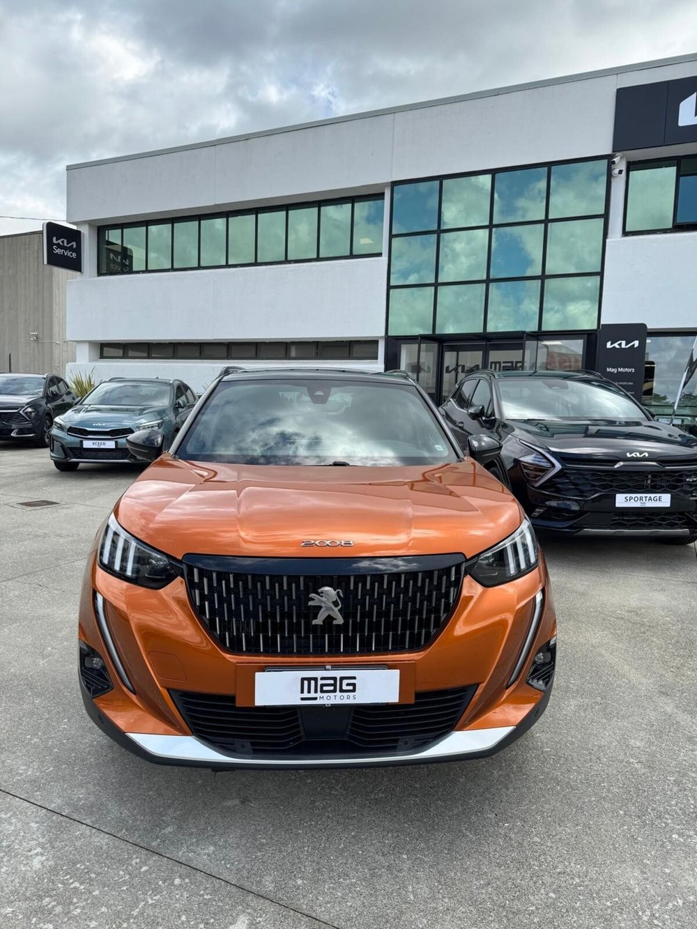 Peugeot 2008 usata a Cosenza (2)