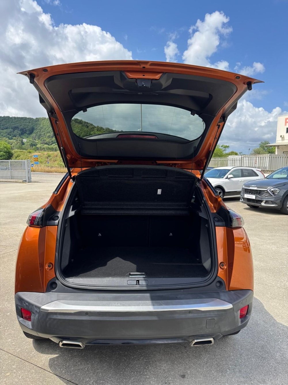 Peugeot 2008 usata a Cosenza (7)