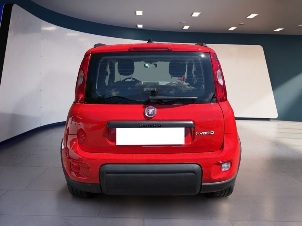Fiat Panda usata a Torino (6)