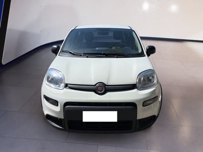 Fiat Panda 1.0 firefly hybrid s&amp;s 70cv 5p.ti del 2024 usata a Torino