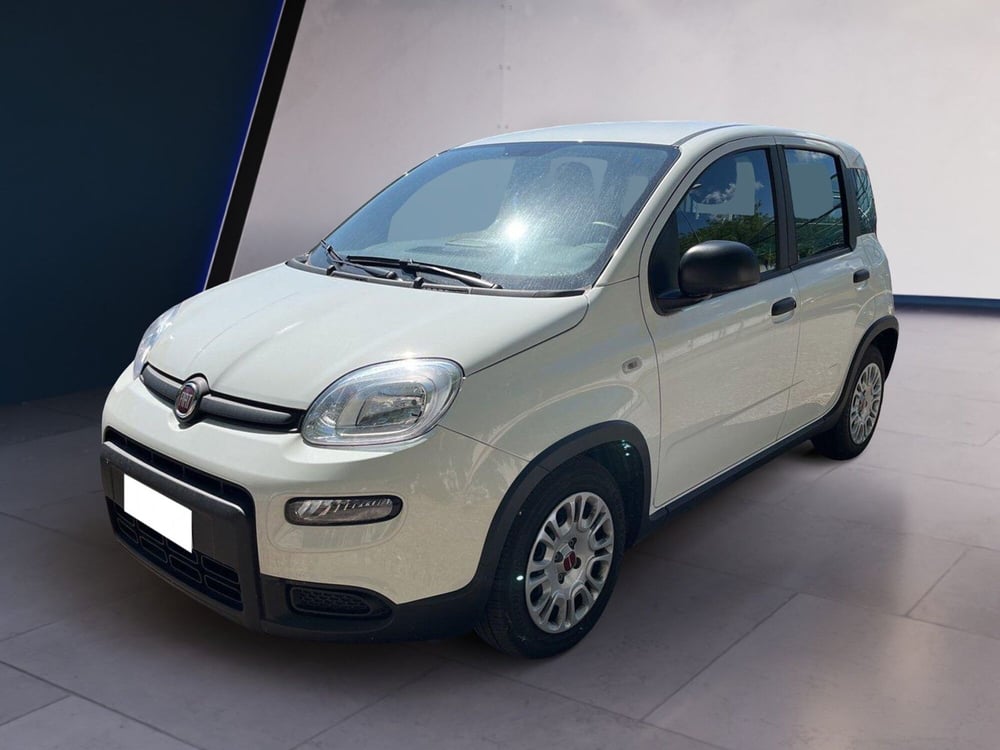 Fiat Panda usata a Torino (2)