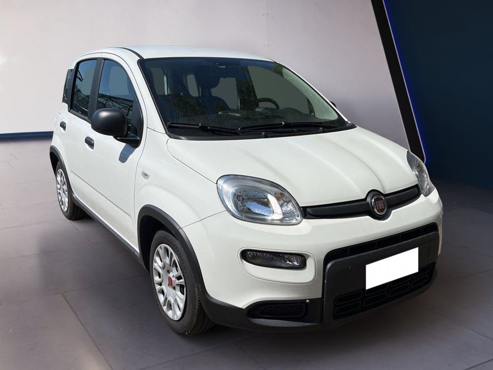 Fiat Panda usata a Torino (3)