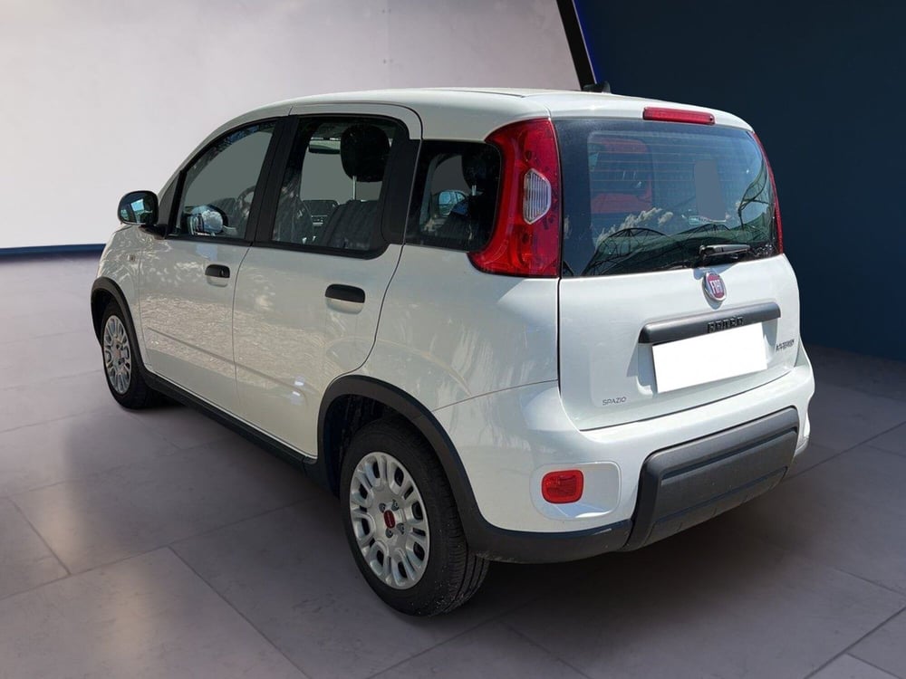 Fiat Panda usata a Torino (5)