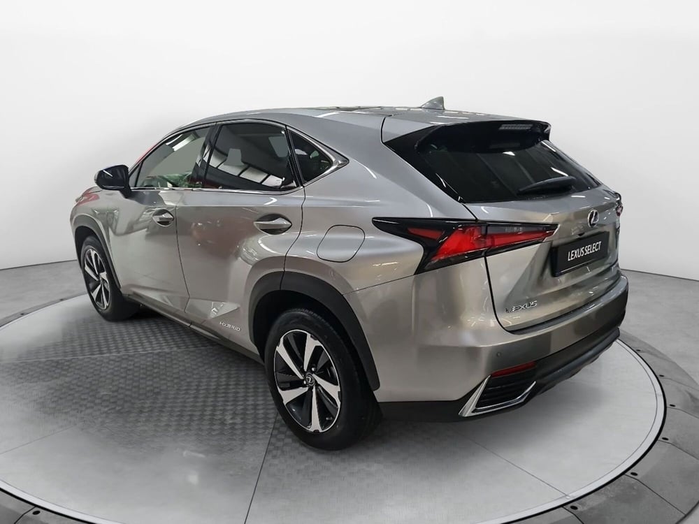Lexus NX usata a Bologna (6)