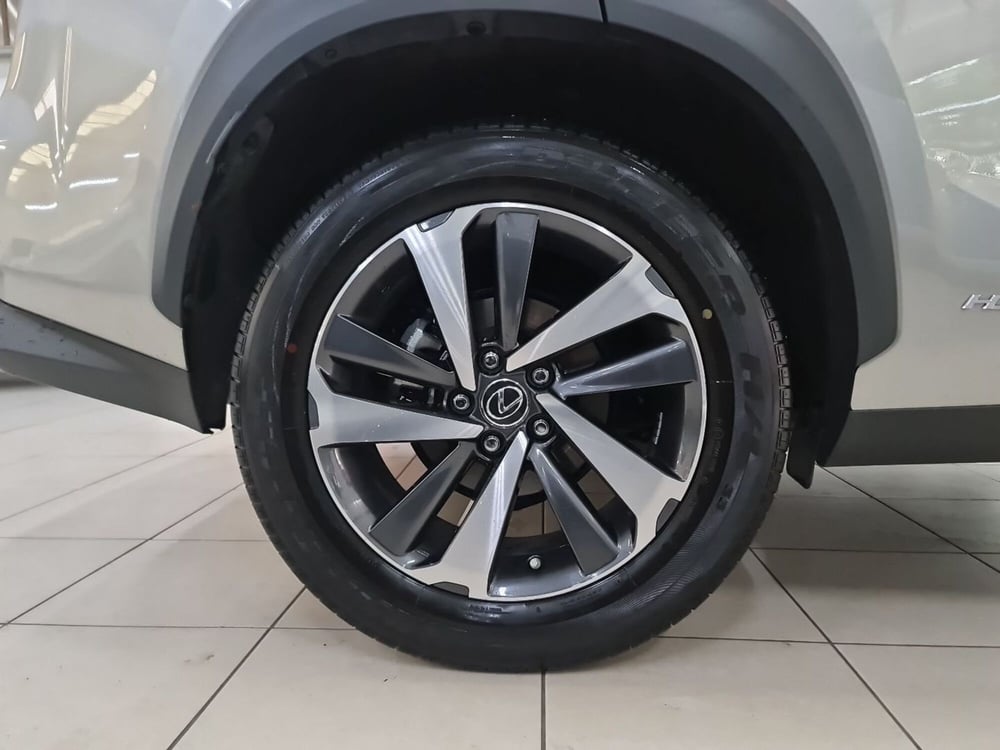 Lexus NX usata a Bologna (7)