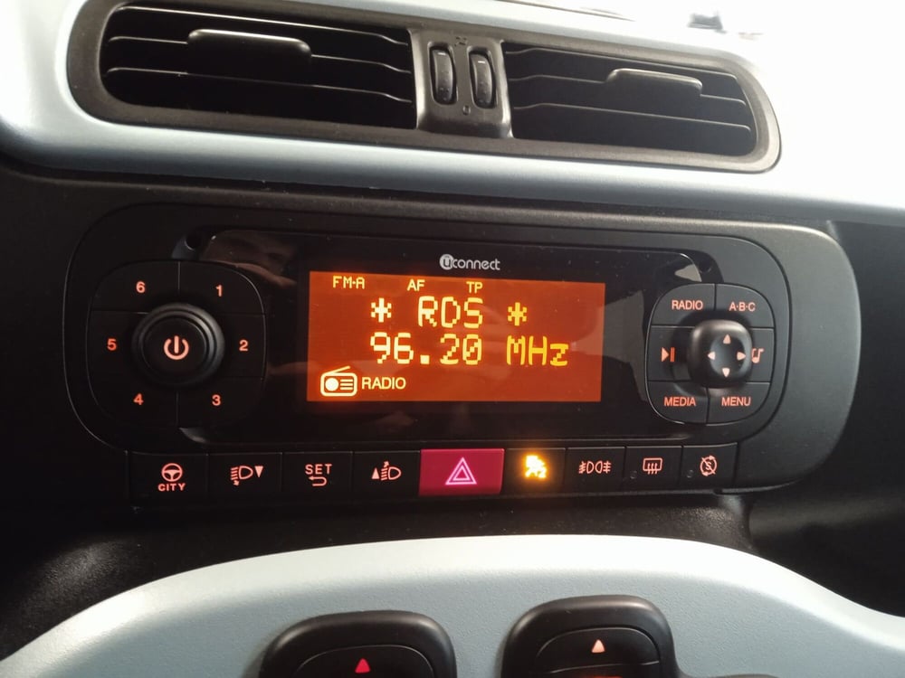 Fiat Panda Cross usata a Torino (12)