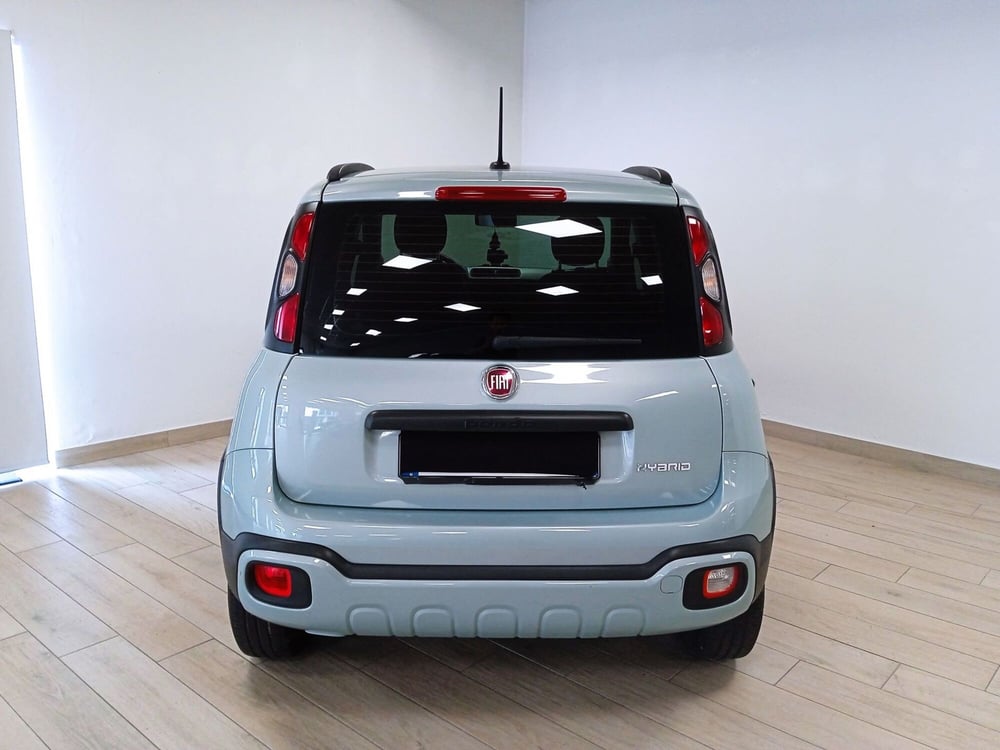 Fiat Panda Cross usata a Torino (4)