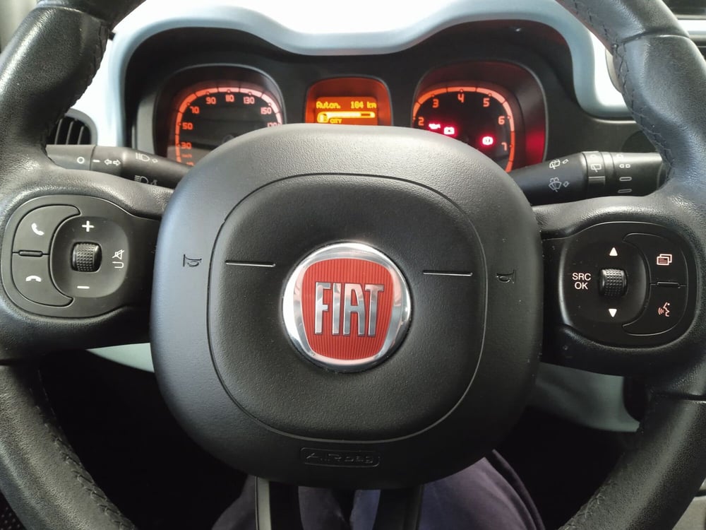Fiat Panda Cross usata a Torino (9)