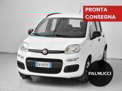 Fiat Panda 1.2 Easy del 2014 usata a Prato