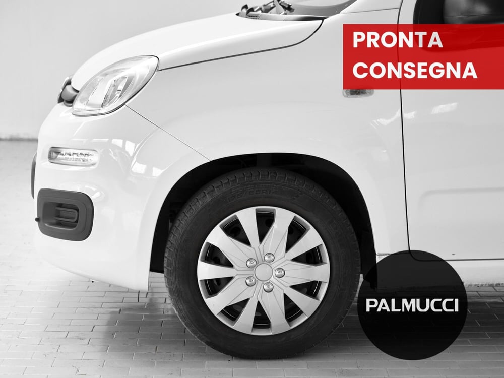 Fiat Panda usata a Prato (4)