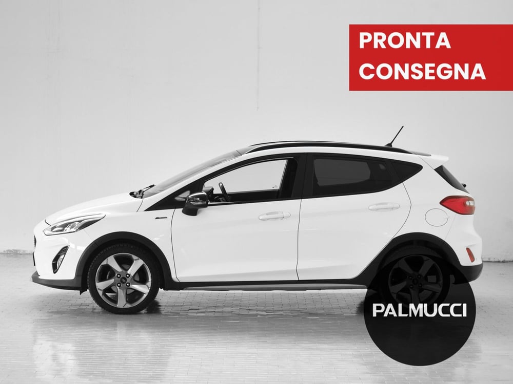 Ford Fiesta usata a Prato (2)